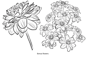 Delicate Peonies, an Object Graphic by VictoriaKStudio (Thumbnail 6 of 6)