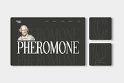 Pheromone | Modern Classic Serif, a Serif Font by Lettertype Studio (Thumbnail 11 of 20)