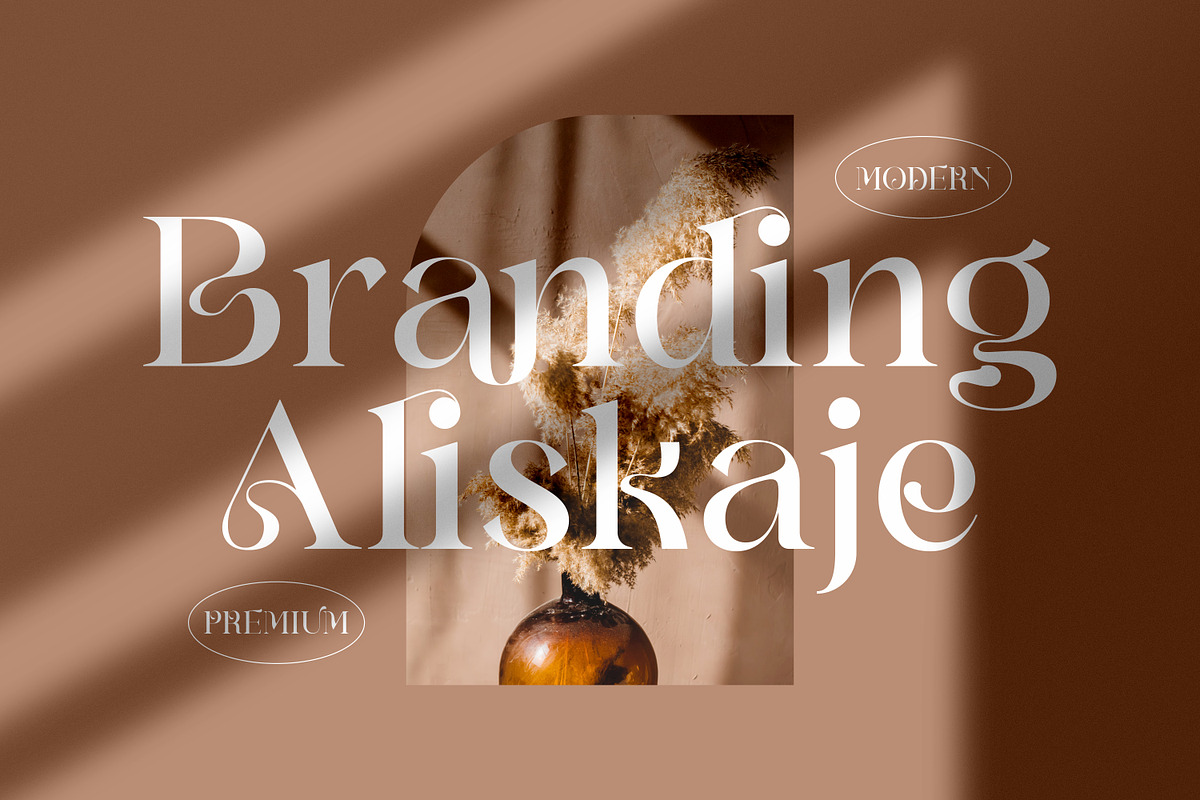 Branding Aliskaje Modern Serif Font, a Serif Font by Storytype Studio (Photo 1 of 9)