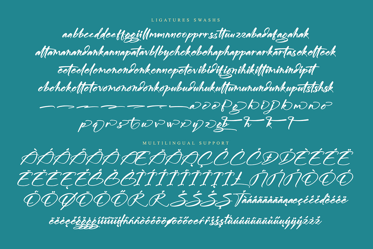 Midnight Sneaker, a Script Font by operatype.co (Photo 14 of 15)