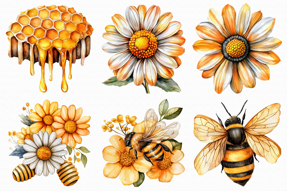 Watercolor Honey Clipart, an Illustration by Libby Wishes (Photo 5 of 5)