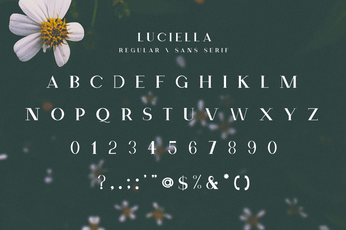 The Elegant Serif Font Bundle, a Serif Font by Zone 6 (Photo 10 of 14)