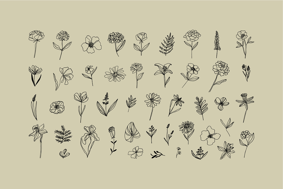 Elegant Botanicals | 100% Hand drawn, a Decorative Illustration by Olia (Photo 3 of 14)