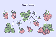 Berries Vector Illustration Pack, an Illustration by Castula (Thumbnail 4 of 17)