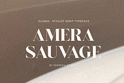 Glinka - A Stylist Serif Font, a Serif Font by zeenesia (Thumbnail 15 of 25)