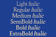 GG Hiro – Individual Styles, a Serif Font by GG Design (Thumbnail 2 of 9)