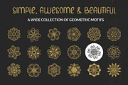 Flower Icons, a Duotone Icon by Brickclay (Thumbnail 5 of 6)
