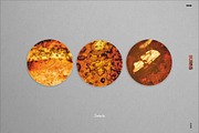 BURNS | 60+ Real Analog Film Burns, a Brushes & More by CUDOS (Thumbnail 15 of 16)