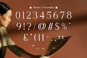 Elistora - Elegant Serif Font, a Serif Font by Flawless And Co (Thumbnail 8 of 10)