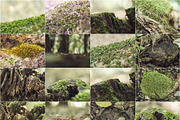Nature close, a Templates & Theme by outlinez (Thumbnail 2 of 5)