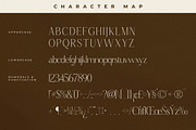 Qaflone Modern Minimalist Serif, a Serif Font by Storytype Studio (Thumbnail 13 of 15)