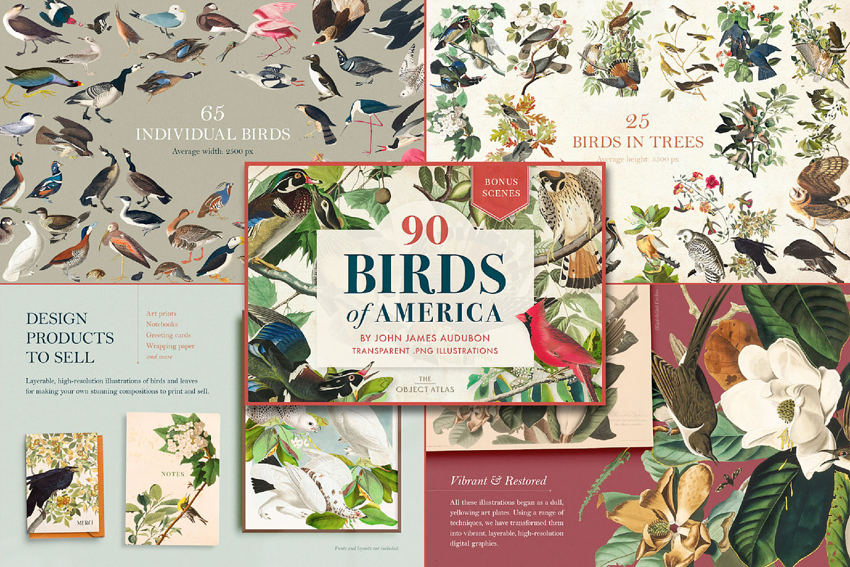 Vintage Bundle – 60% Off! – 21 Packs, an Object Graphic by The Object Atlas (Photo 15 of 26)