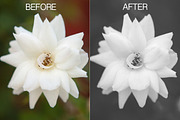 Filmtastic Photoshop Film Actions, an Action Add-On by Josh Johnson (Thumbnail 5 of 5)