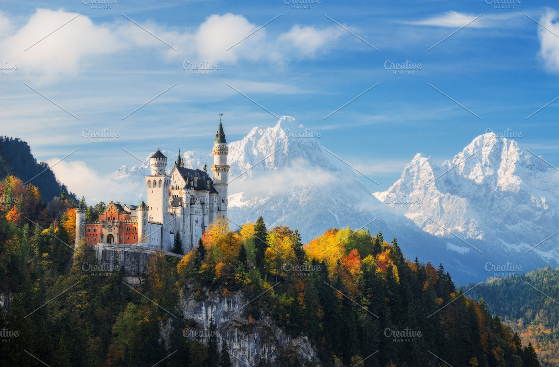Neuschwanstein castle web featuring neuschwanstein, hohenschwangau, and, an Architecture Photo by naumenkophotographer