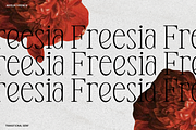 Anyelir Display - Condensed Serif, a Serif Font by Magnolitype (Thumbnail 21 of 21)