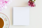 Pink peony stock photo bundle containing pink, peony, and fowers, a Business Photo by Savvy Stock Shop (Thumbnail 7 of 16)