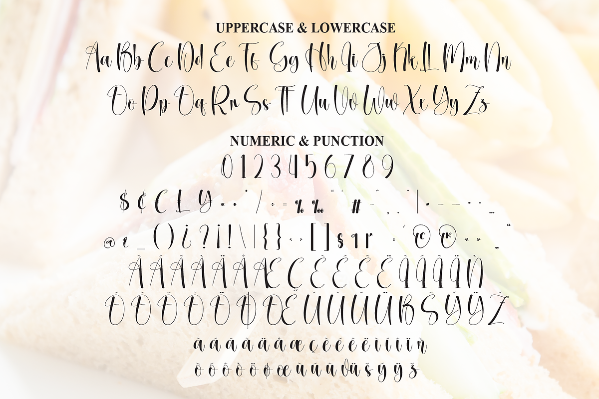 Sandwich | Script Font, a Handwritten Font by Scratchones (Photo 7 of 8)