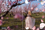 PINK Rose Petals photo overlays, an Object Graphic by 2SUNS (Thumbnail 7 of 9)