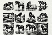 Wild Horse SVG Graphics Bundle, an Animal Illustration by DENIDigitalArtSudio (Thumbnail 6 of 8)