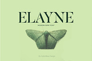 ELAYNE - Display Serif Font, a Serif Font by Hybridbee Design (Thumbnail 1 of 10)