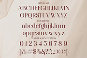 Lemedril - Elegant Modern Stylish, a Serif Font by Qweera Studio (Thumbnail 12 of 12)