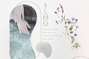SERENITY Wild flowers collection, a Decorative Illustration by Anastezia Luneva (Thumbnail 3 of 9)