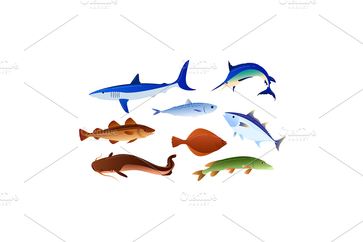 Cartoon fish for food set, sea, an Animal Illustration by seahorsevector