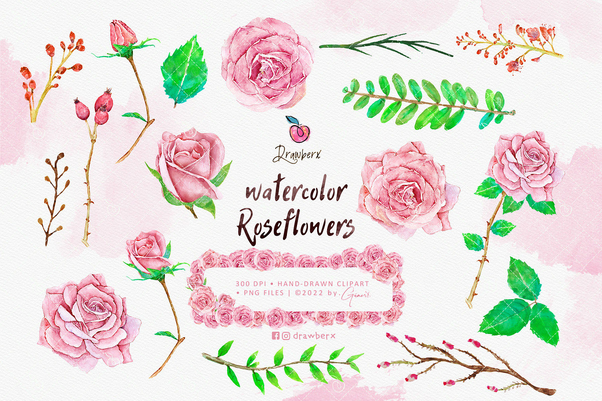 Roses Watercolor floral frames 028, an Illustration by Drawberx (Photo 4 of 10)