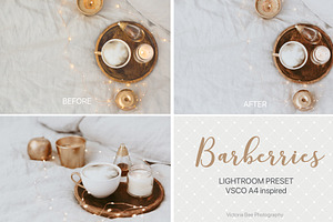 Desktop Lightroom Presets BARBERRY