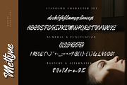 Meltyne Modern Script Font, a Script Font by Ronny Studio (Thumbnail 8 of 9)