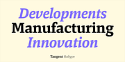 Tangent, a Slab Serif Font by Hoftype (Thumbnail 2 of 14)