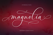 Elegant Script Font Bundle, a Script Font by Byuly Ayika (Thumbnail 19 of 34)
