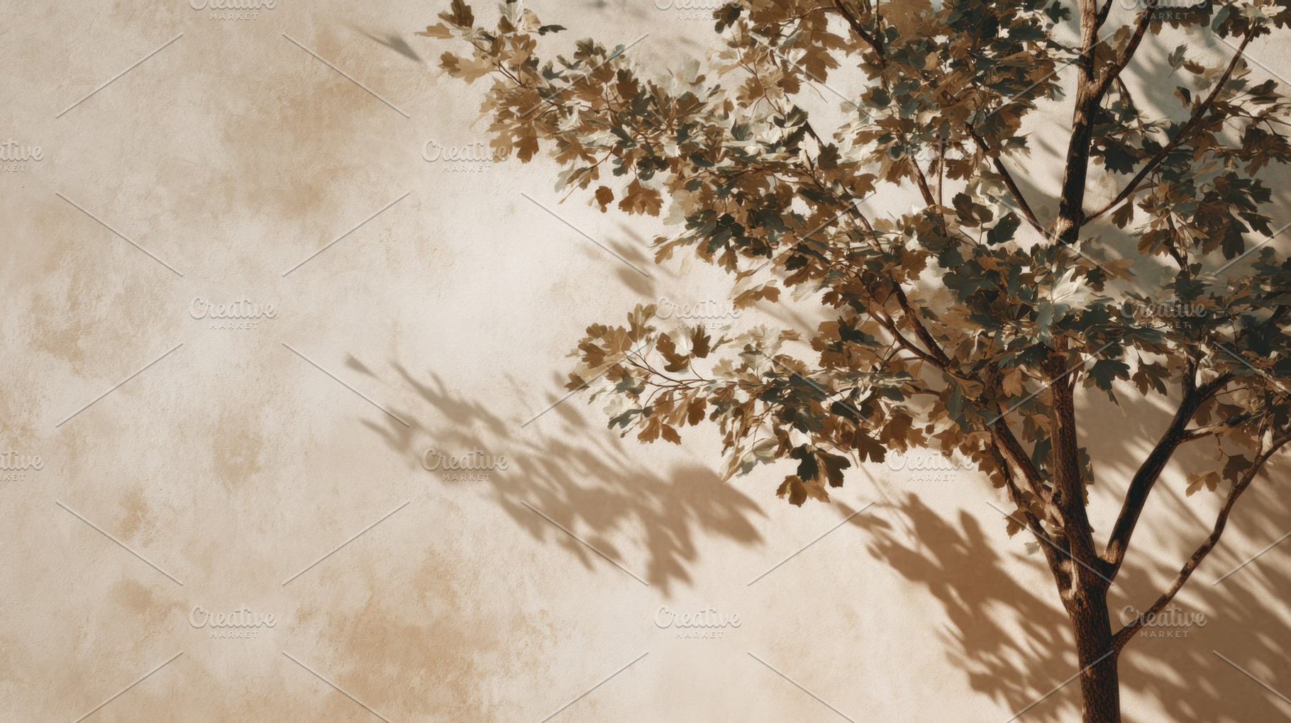 Shadows of a tree on a wall, a Photo by Beautiful things