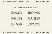 Bookinnes - Business Font, a Serif Font by RockboyStd (Thumbnail 8 of 12)