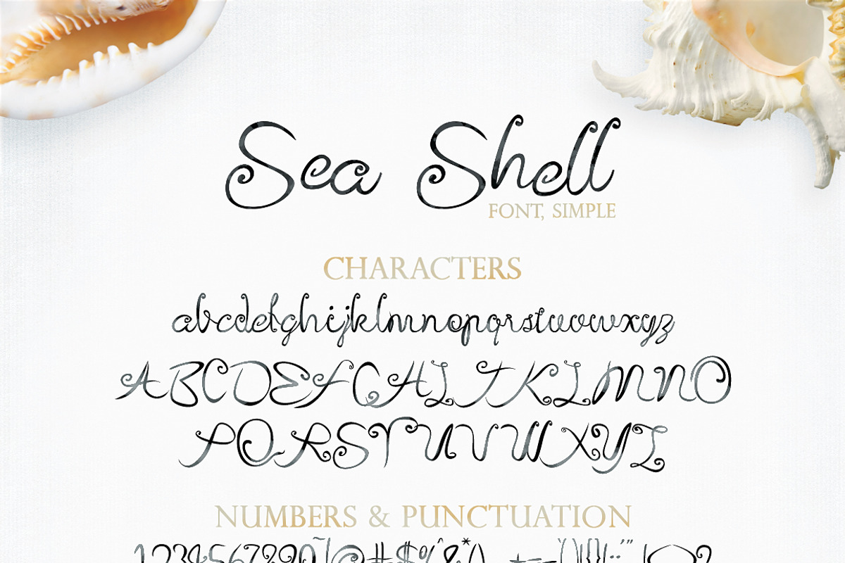 Sea Shell Script, a Script Font by tmcom (Photo 12 of 13)