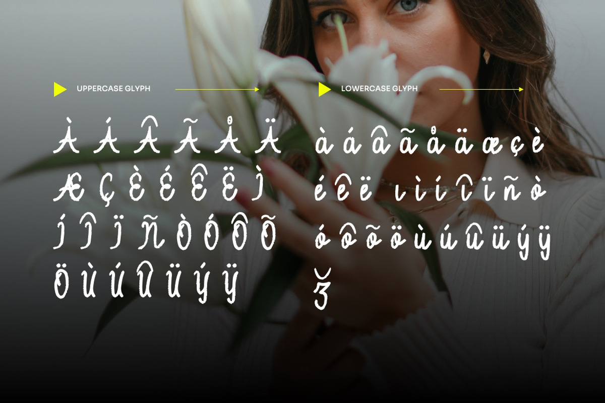 Oishu Taveny -Brush Handwritten Font, a Handwritten Font by Dhabee (Photo 3 of 12)