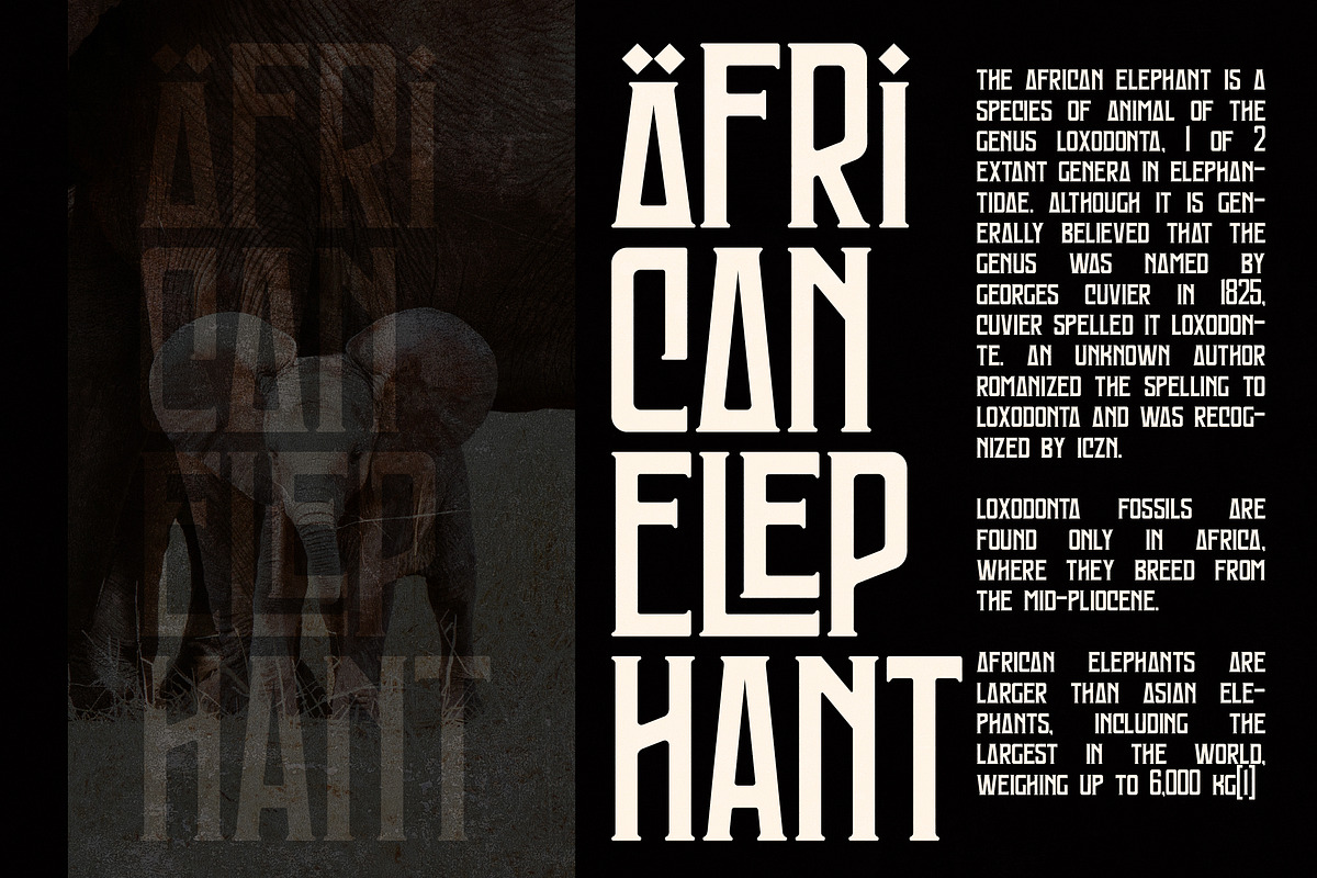 Mongondow Display Typeface Font, a Sans Serif Font by Storytype Studio (Photo 6 of 15)