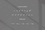 Trelasty Bettany, a Script Font by Integritype Studio (Thumbnail 11 of 15)