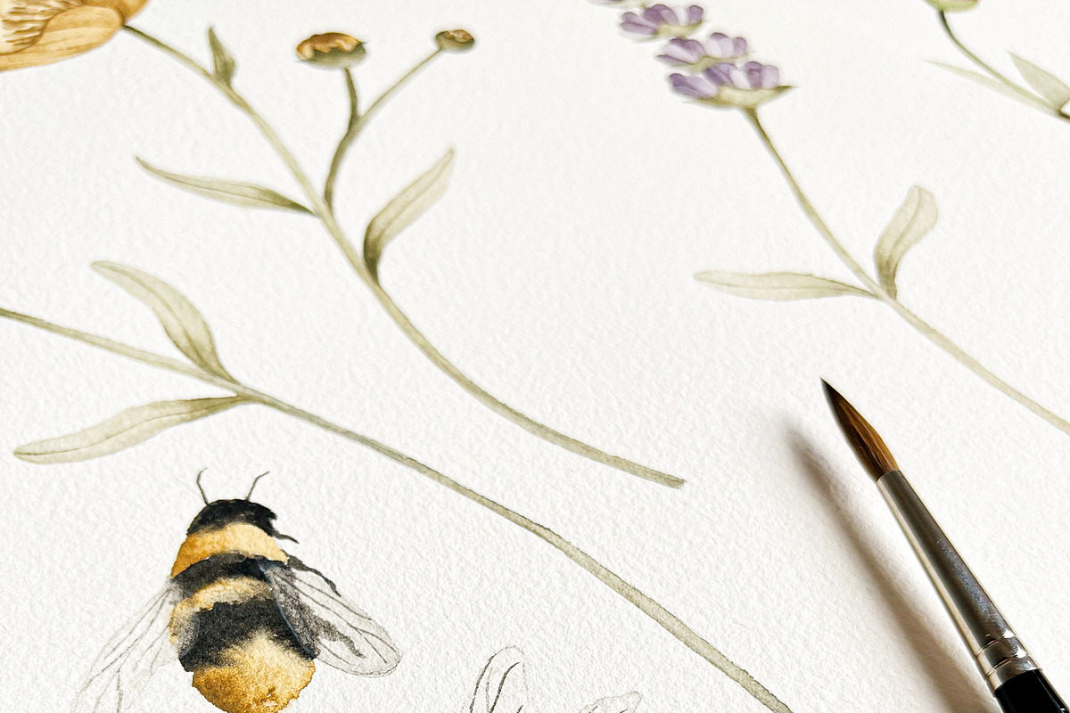 Watercolor Botanical Wildflowers Set, a Decorative Illustration by Carol Lozove (Photo 2 of 36)