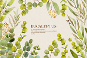 Watercolor eucalyptus greenary, a Graphic by Olesya Morokhovets (Thumbnail 1 of 4)