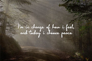 Xilent Sheet Script Font, a Script Font by JNJ Studio (Thumbnail 6 of 10)