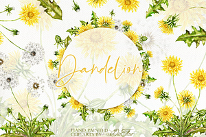 Dandelion Watercolor Illustration