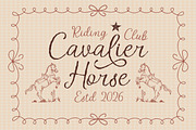 Whimsical Handwritten Font Trio, a Handwritten Font by Typoraith Co (Thumbnail 9 of 21)