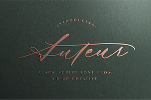 Auteur Calligraphy Script Font