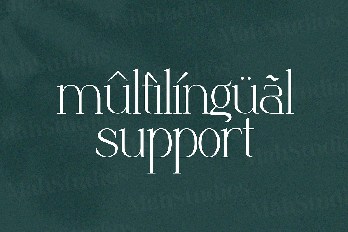 Anbittah Serif Fonts, a Serif Font by mahstudios (Photo 10 of 13)