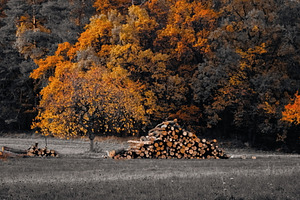 The Magic of Autumn #3, a Nature Photo by jakub_kopecky