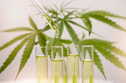 Cannabis, natural and drop of cbd oil with leaf isolated on white background for alternative medicine. Medical marijuana, healthcare and dropper with serum, liquid and herbal medicine in test tube, a Photo by Peopleimages.com