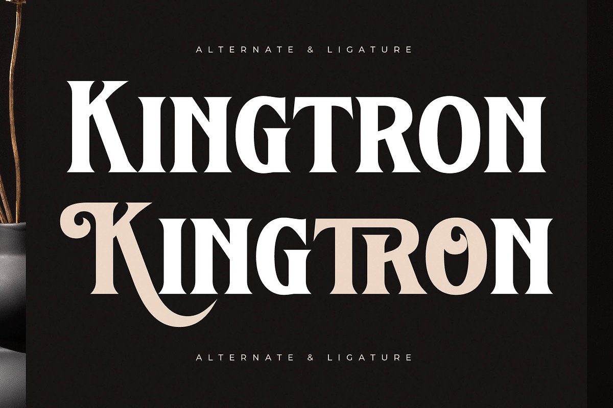 Kingtron Modern Serif Display, a Serif Font by Letterena Studios (Photo 6 of 15)