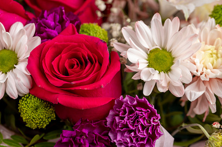a gift bouquet of flowers for congratulations, a Photo by MyPhotos