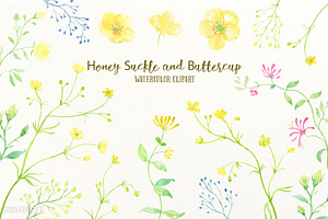 Watercolor Honeysuckle & Buttercup